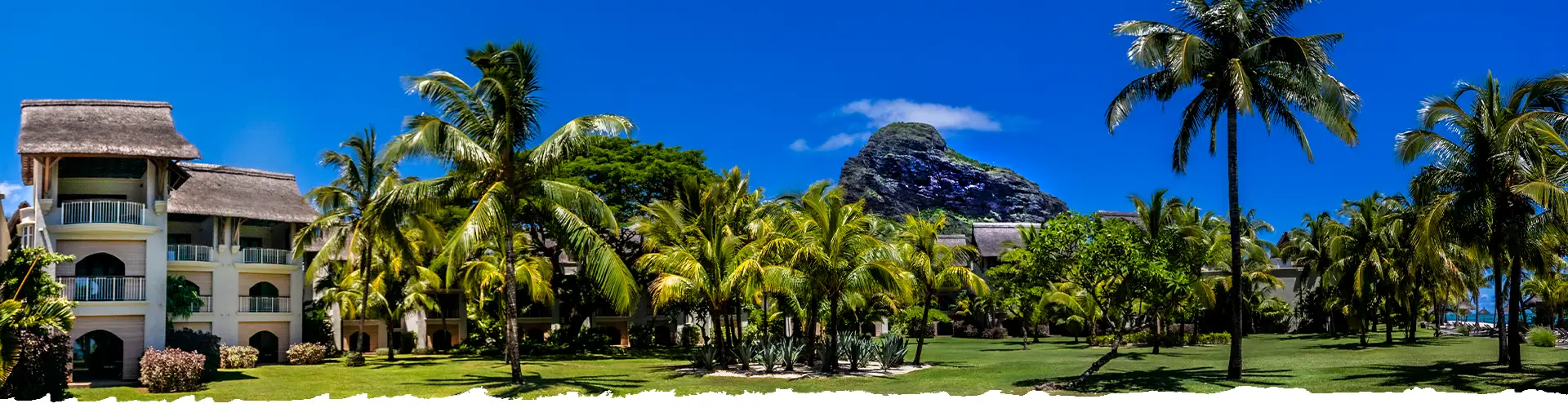 Explore-Mauritius-Hotel-Resorts-Holiday-Contact-thank-you